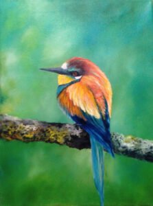 Gyurgyalag - Bee-eater 40 x 30 cm