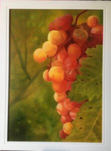Szőlő - Grapes 70 x 50 cm